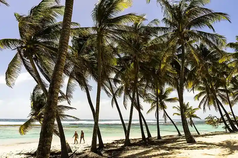 Pointe-à-Pitre, Guadeloupe