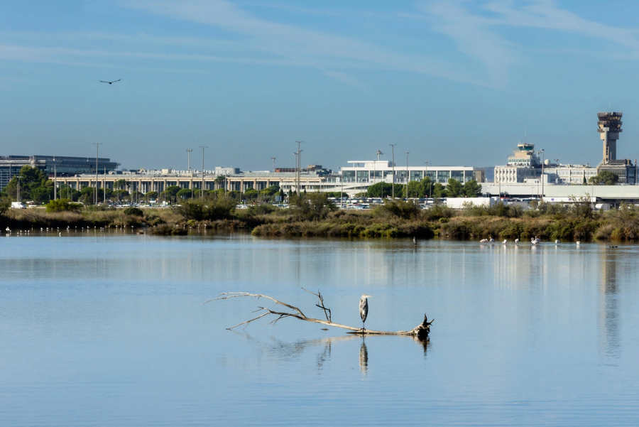 aeroport marseille provence biodiversite