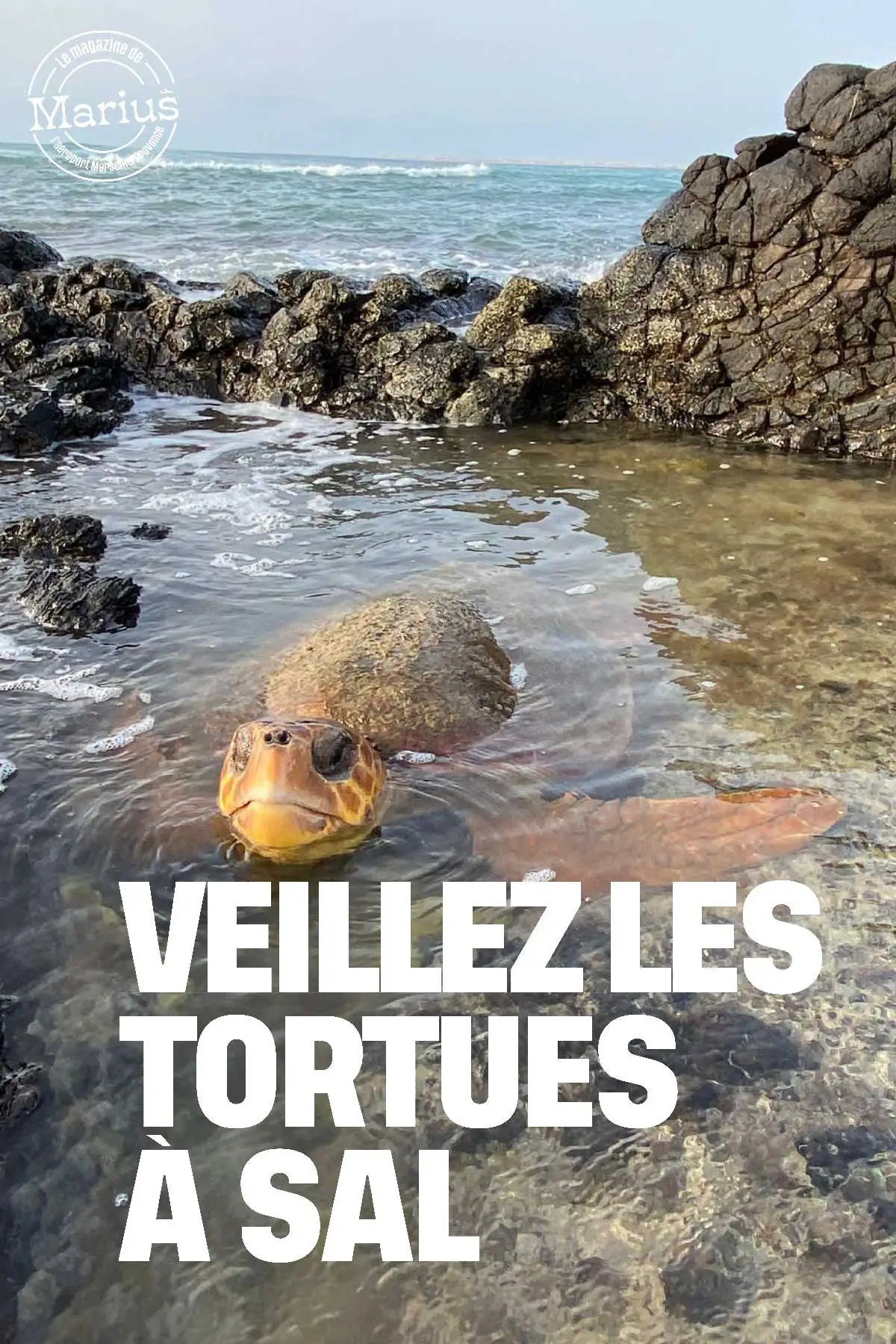 Vol direct pour Sal Vol direct pour Sal