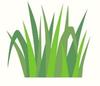 Icone espace vert Icone espace vert